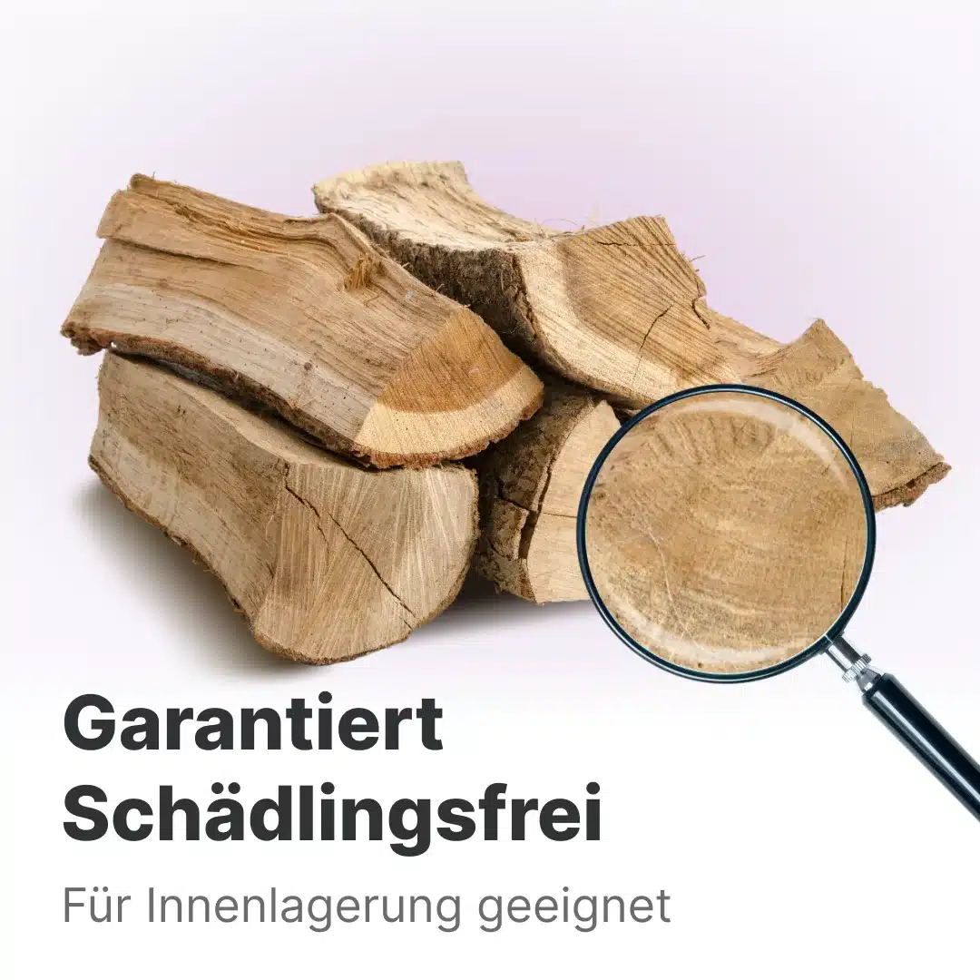 Kaminholz Erle kammergetrocknet | 1 RM – Bild 3