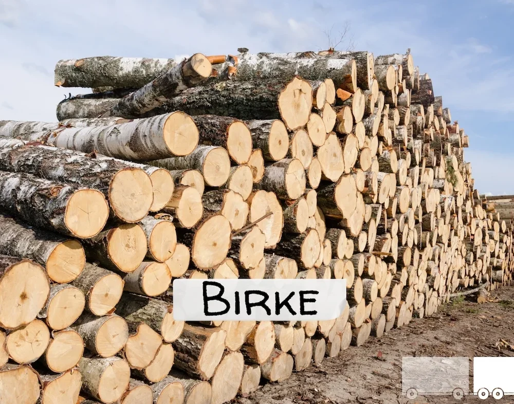 Stammholz - Birke - ganze LKW-Ladung 40 RM