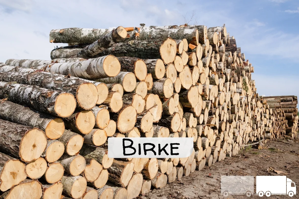 Stammholz - Birke - ganze LKW-Ladung 40 RM