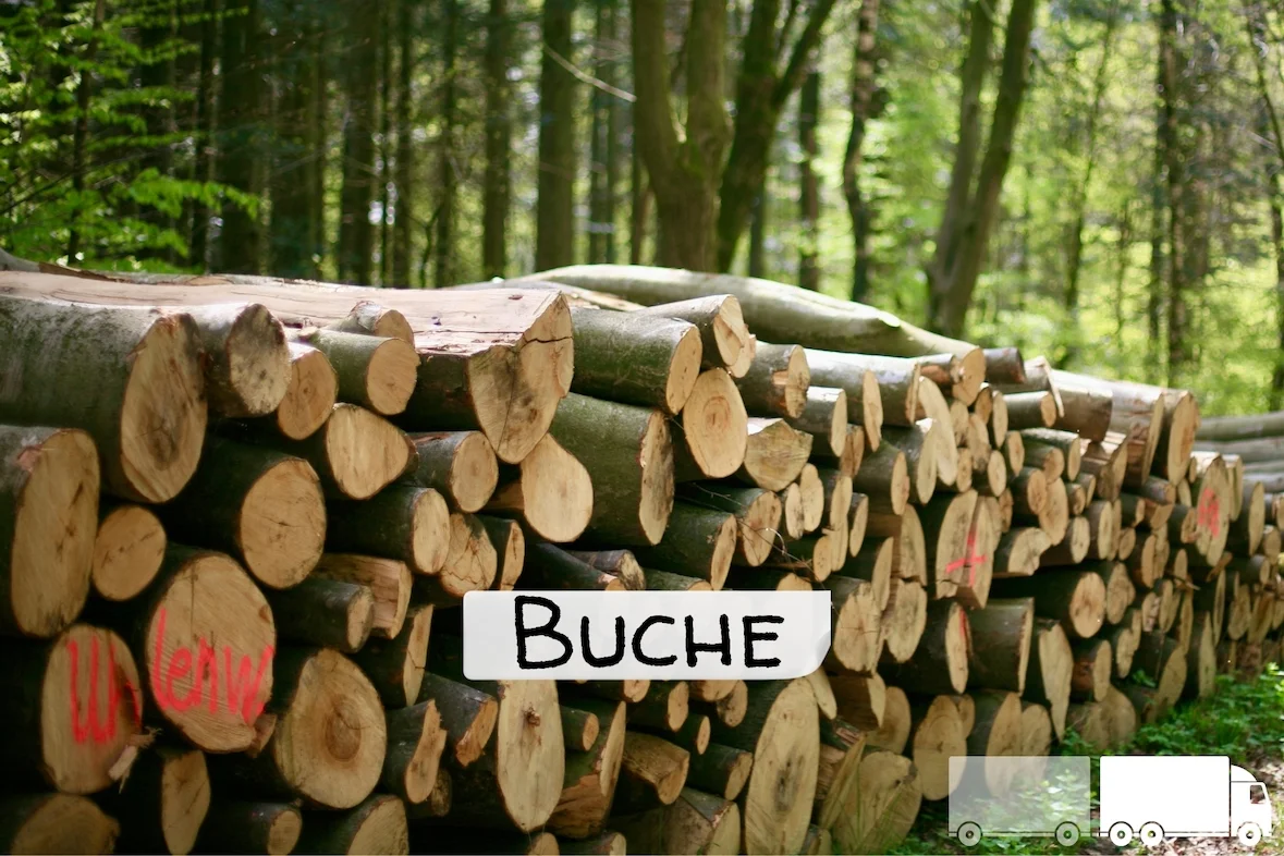 Stammholz - Buche - halbe LKW-Ladung