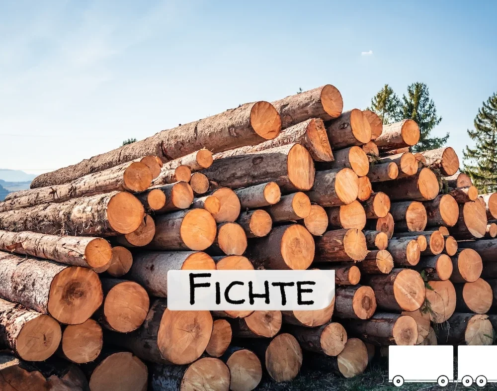 Stammholz - Fichte - ganze LKW-Ladung 40 RM