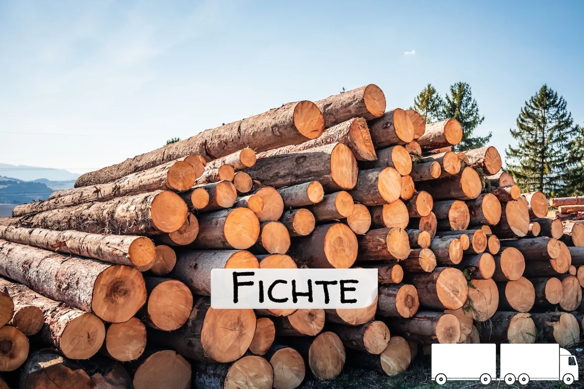 Stammholz - Fichte - ganze LKW-Ladung 40 RM