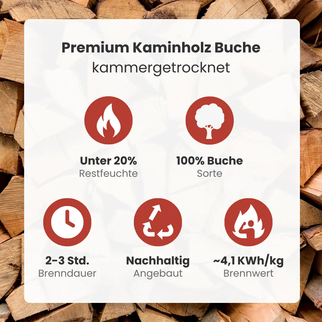 Kaminholz Buche kammergetrocknet | 1 RM – Bild 6