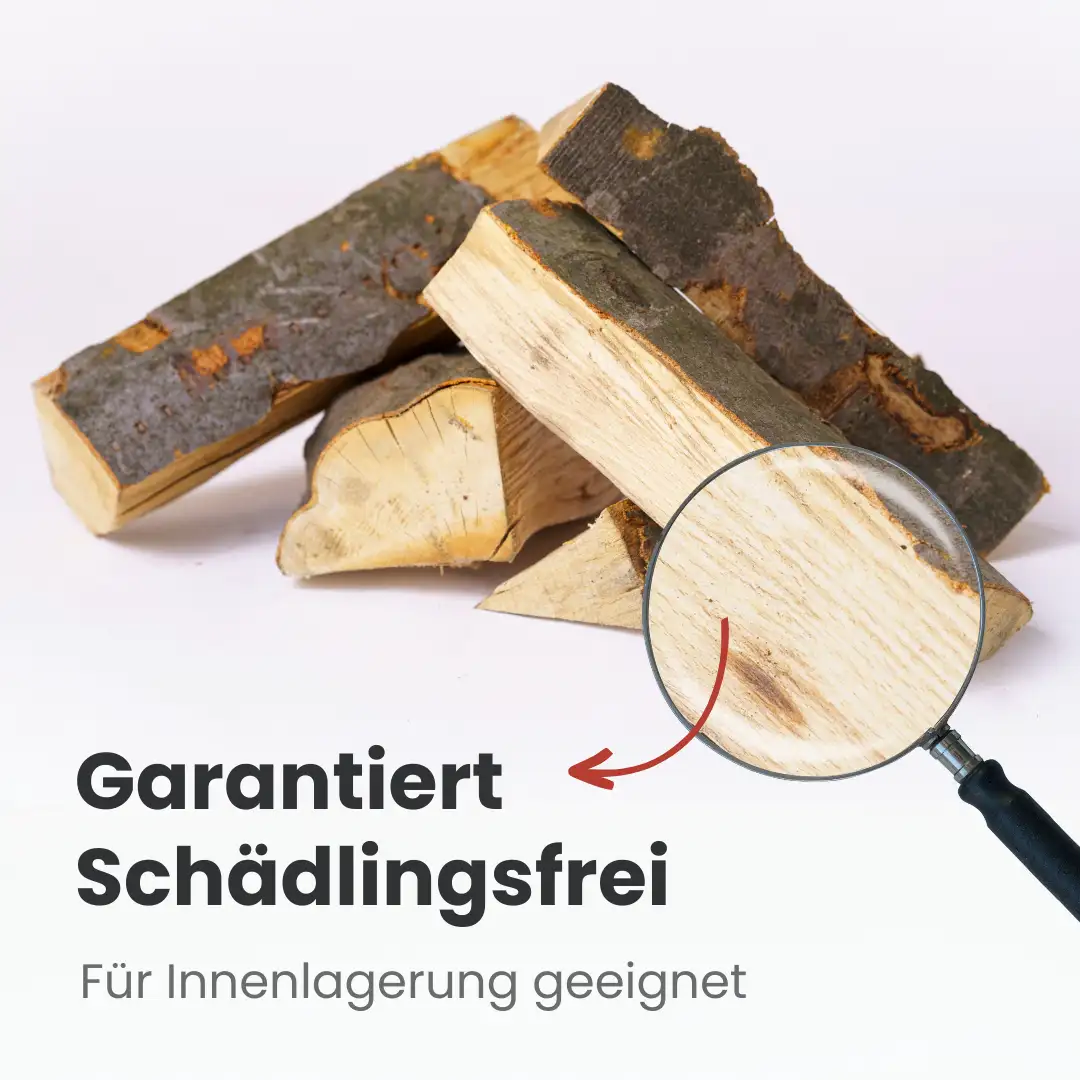 Kaminholz Laubholzmix kammergetrocknet | 1 RM – Bild 3