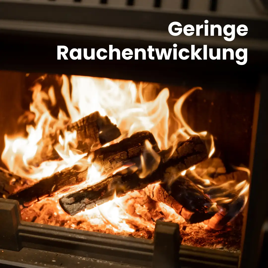 Kaminholz Buche kammergetrocknet | 1 RM – Bild 5